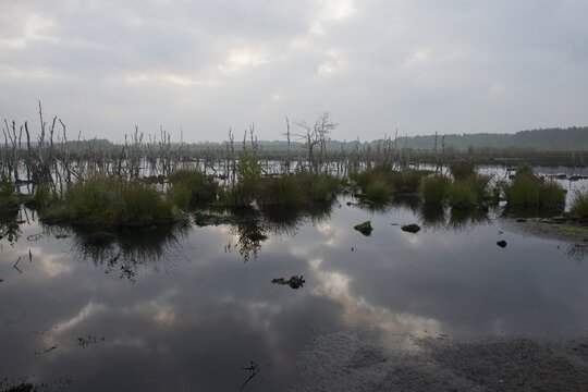 Theikenmeer nature reserve, Emsland, Lower Saxony, Germany