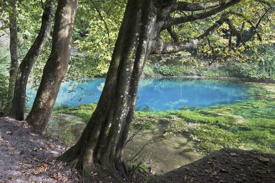 Blautopf, Blaubeuren, Baden-W&uuml;rttemberg, Germany