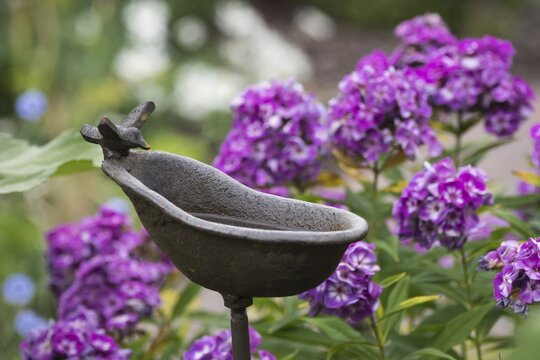 Birdbath in a garden, Hesse, Germany
