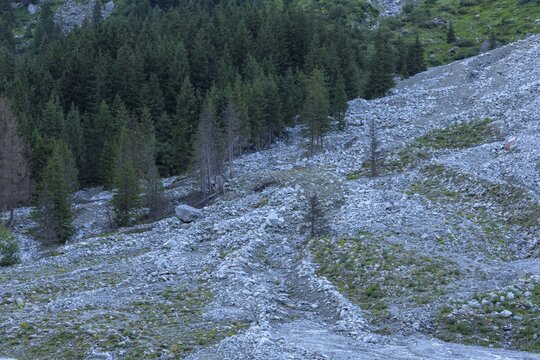 Big rockfall, NP Hohe Tauern, Obersulzbachtal, Salzburg, Austria
