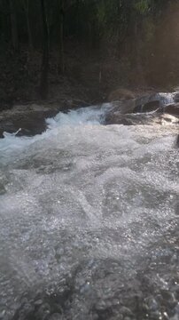 Slow motion of a bubbling stream flowing over rocks in a forest, capturing the essence of nature's tranquility.