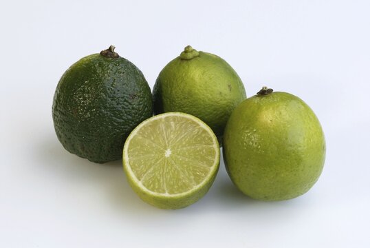 Lime fruits / (Citrus latifolia)