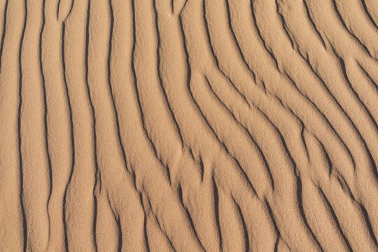 Wave pattern in the sand, Sossusvlei, Namib-Naukluft National Park, Namibia