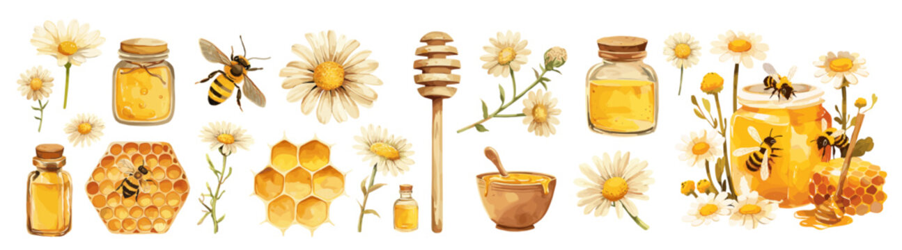 Honey cartoon set. Bees hive honeycomb jar yellow flower, sweetness natural wax chamomile rustic beekeeping natural nectar Vector illustration