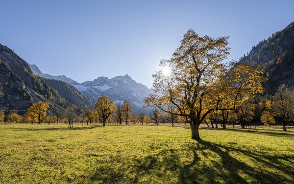 Sun star, Karwendel and Gro&szlig;er Ahornboden in autumn, yellow sycamore, Ri&szlig;tal in der Eng, Tyrol, Austria