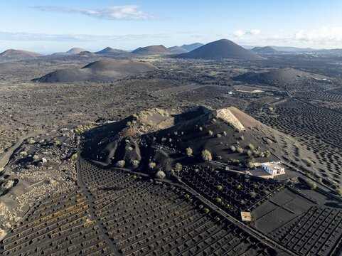 Typical drywall viticulture in volcanic landscape, on volcanic ash, lapilli, aerial view, vines, La Geria wine-growing region, Lanzarote, Canary Islands, Spain