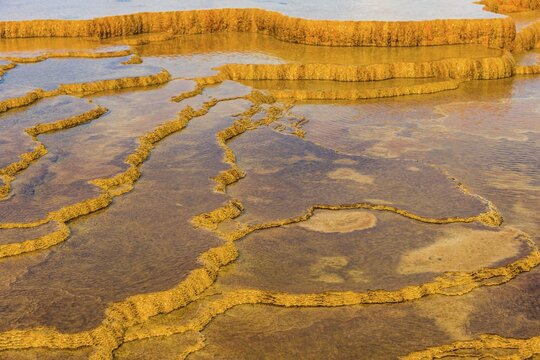 Sinter terraces, hot springs, orange mineral deposits, Palette Springs, Upper Terraces, Mammoth Hot Springs, Yellowstone National Park, Wyoming, USA