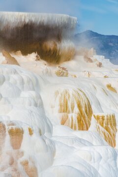 Sinter terraces with calcareous tuff deposits, hot springs, colorful mineral deposits, Palette Springs, Lower Terraces, Mammoth Hot Springs, Yellowstone National Park, Wyoming, USA