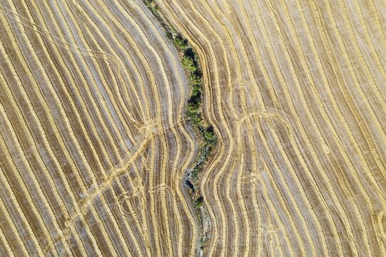 Abstract patterns in cornfield after wheat harvest, dry stream, aerial view, drone shot, C&oacute;rdoba province, Andalusia, Spain