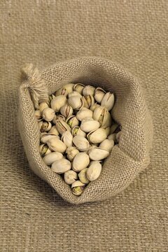 Pistachio (Pistacia vera), fruit, nuts, with shell, unpeeled, Germany