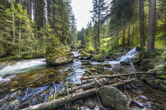 Untertalbach, Rohrmoos-Untertal, Styria, Austria