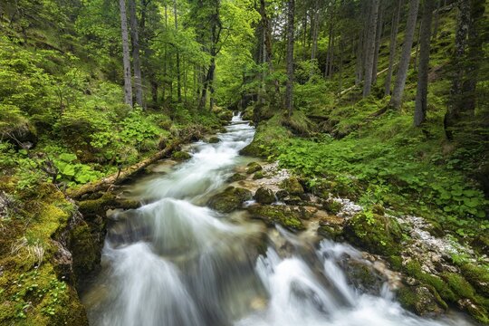 Torrent in Hartelsgraben, Ges&auml;use National Park, Styria, Austria