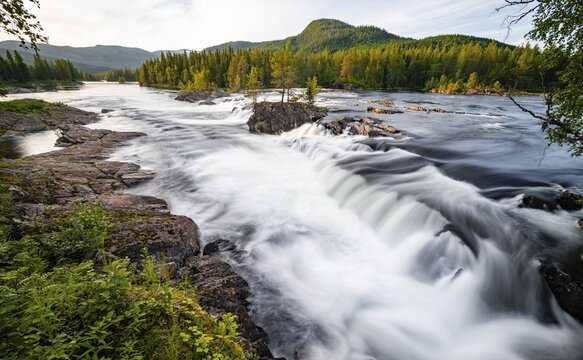 Rapids in the river Namsen, coniferous forest, Namsskogan, Tr&oslash;ndelag, Norway