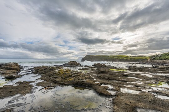 Petrified Forest, Curio Bay, Southland, South Island, New Zealand