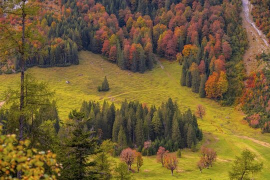 Colourful autumn landscape in the Ri&szlig;tal, mixed forest in autumn, Gro&szlig;er Ahornboden, Engalpe, Eng, community Hinterri&szlig;, Karwendel Mountains, Alpenpark Karwendel, Tyrol, Austria