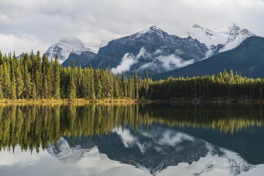 Herbert Lake, lake with reflection of the Bow Range, Banff National Park, Canadian Rocky Mountains, Alberta, Canada