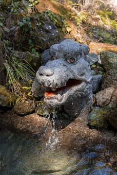 Dragonhead as gargoyle, Hirou-jinja Shinto Shrine, Nachisan, Wakayama, Japan