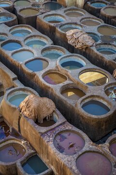 Worker dyeing leather, basin with paint, dyeing, tannery Tannerie Chouara, tanner and dyer quarter, Fes el Bali, Fes, Morocco