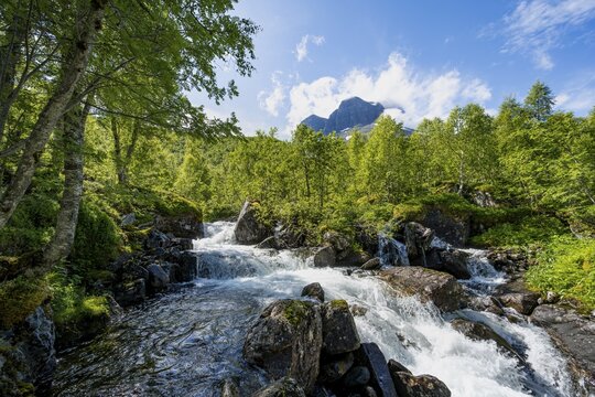 River Flou between Birkenwald, Innerdalen, Hochtal, Sunndal, M&oslash;re og Romsdal, Vestlandet, Norway
