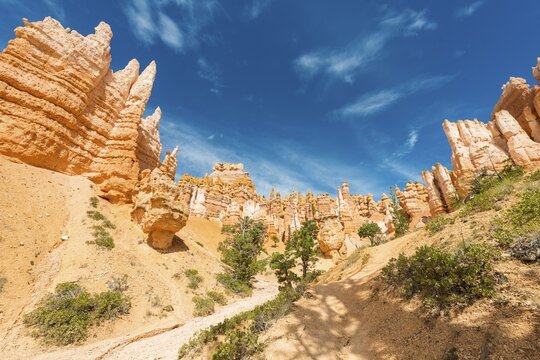 Trail in bizarre landscape, reddish rocky landscape with fairy chimneys, sandstone formations, Bryce Canyon National Park, Utah, USA