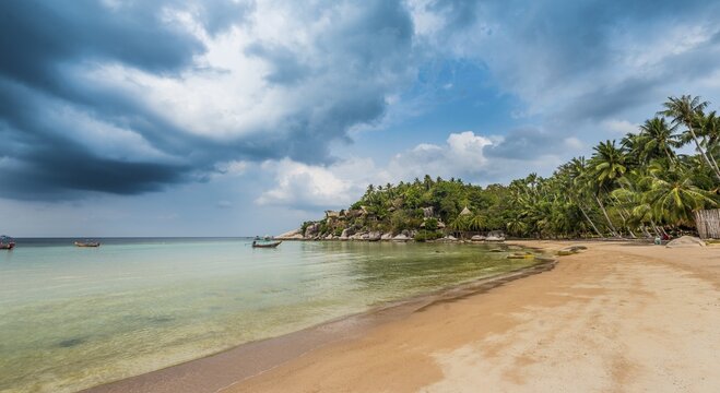 Sandy beach beach with palm trees, Koh Tao, Gulf of Thailand, Thailand