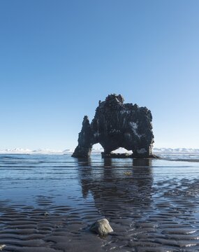 Hvitserkur, Elephant Rock on lava beach, natural basalt rock formation, Northwestern Region, Iceland