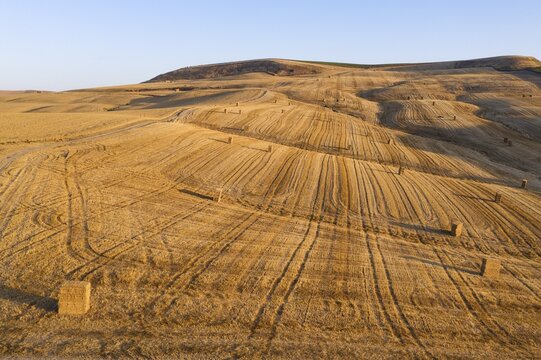 Bales of straw and abstract patterns in cornfield after wheat harvest, prominent the tractor wheel ruts, aerial view, drone shot, C&oacute;rdoba province, Andalusia, Spain