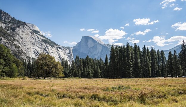 Marshlands, mountains, Half Dome behind, Yosemite Valley, Yosemite National Park, UNESCO World Heritage Site, California, USA