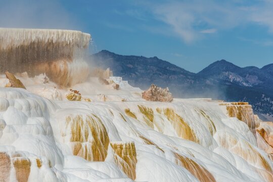 Sinter terraces with calcareous tuff deposits, hot springs, colorful mineral deposits, Palette Springs, Lower Terraces, Mammoth Hot Springs, Yellowstone National Park, Wyoming, USA