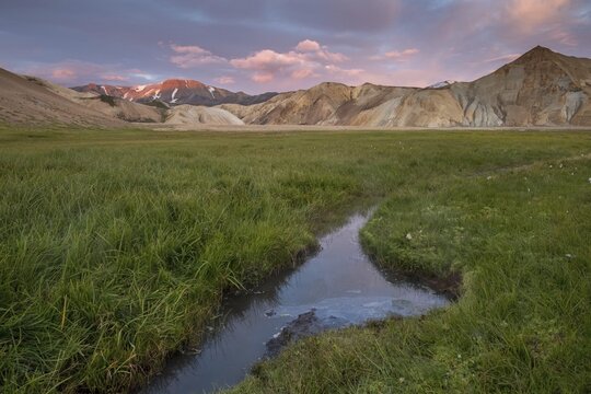 Hot spring, meadow, J&ouml;kulgil, Rhyolite mountains, Landmannalaugar, Fjallabak, Icelandic highlands, Iceland