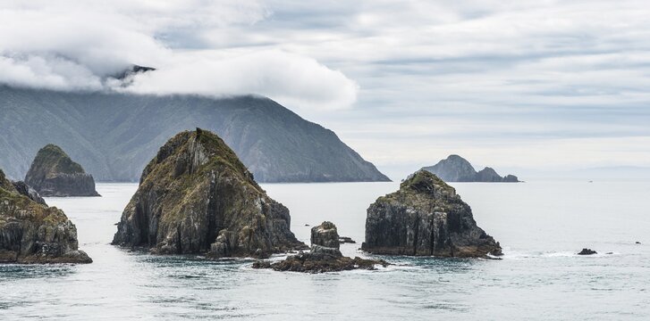 Coast on the sea, cloudy sky, Queen Charlotte Sound, Totaranui, Picton, Southland, New Zealand