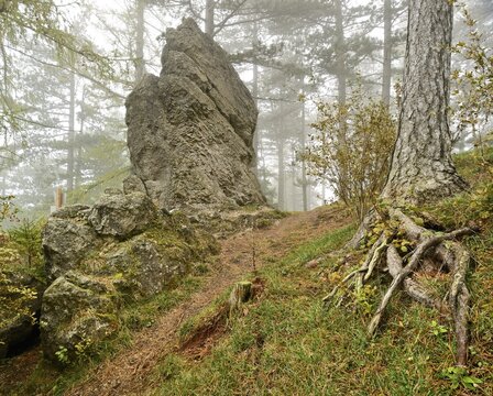 Druid stone, foggy weather, Noestach, Triestingtal valley, Lower Austria, Austria, Europe