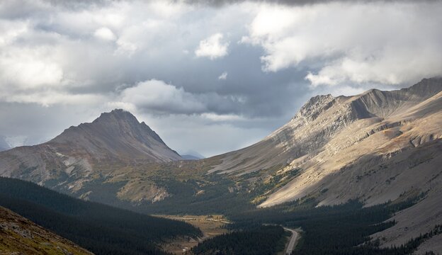 View of Wilcox Pass with Mount Wilcox and Nigel Peak in autumn, Parker Ridge, Sunwapta Pass, Icefields Parkway, Jasper National Park National Park, Canadian Rocky Mountains, Alberta, Canada