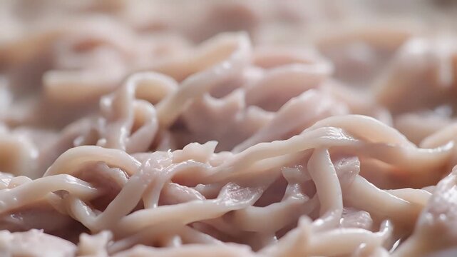 Closeup of raw squid tentacles prepared for cooking.