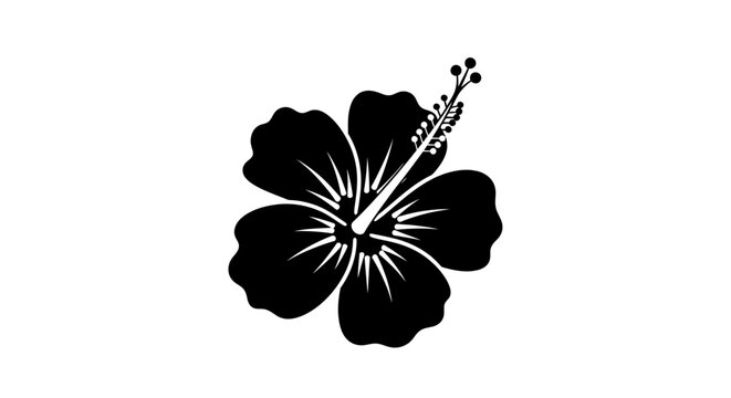 Black Hibiscus Flower Closeup View.