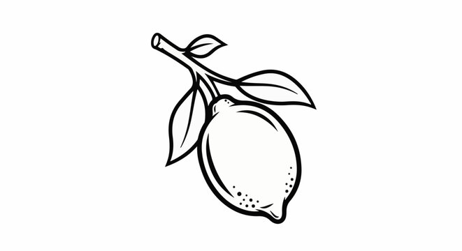 Simple line drawing of a single lemon on a branch with leaves