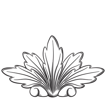 Ornamental drawing of acanthus leaves. Black and white illustration of a detailed filigree made with acanthus leaves.