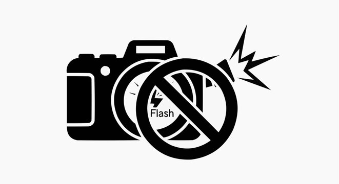No Flash Photography Prohibited Sign Icon