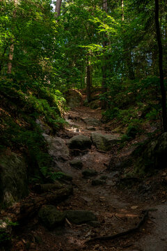 Wanderpfad zum Gamrig, S&auml;chsiche Schweiz