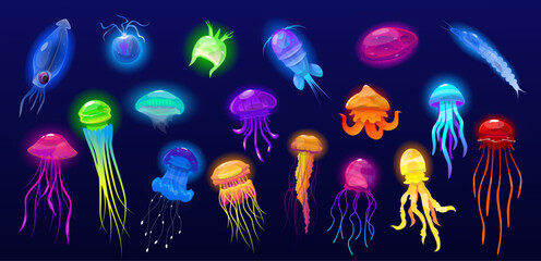 Deep sea jellyfish and plankton. Luminous water inhabitants. Ocean fauna. Poisonous tentacles. Transparent marine medusa. Underwater invertebrate animals. Undersea creatures vector set © VectorBum