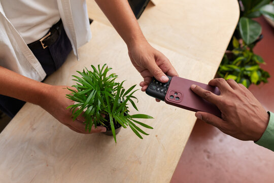 Vendor and customer exchanging plant, paying with pink phone and black reader on wooden counter