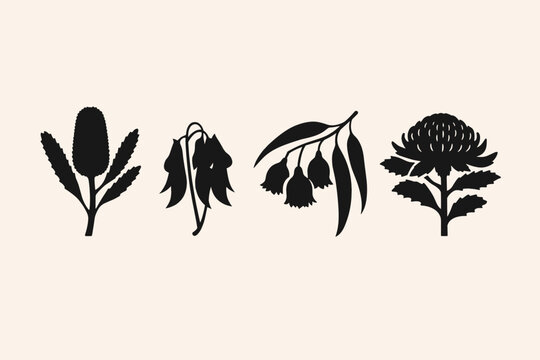 Minimalist vector illustration featuring four iconic Australian native flora silhouettes: Banksia, Waratah, Eucalyptus gum nuts, and Sturt's Desert Pea on a clean, neutral background.