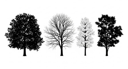 Fototapeta premium Seasonal tree silhouettes set black and white forest trees spring summer autumn winter vector