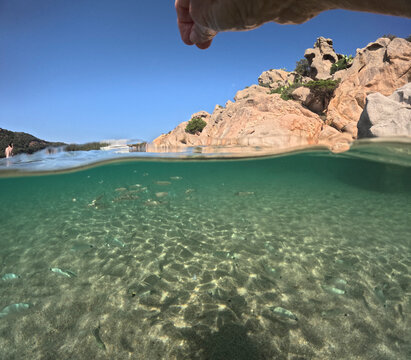 Underwater image of the waters of the Mediterranean Sea at the island of La Maddalena, a short distance from Palau in Sardinia, Italy