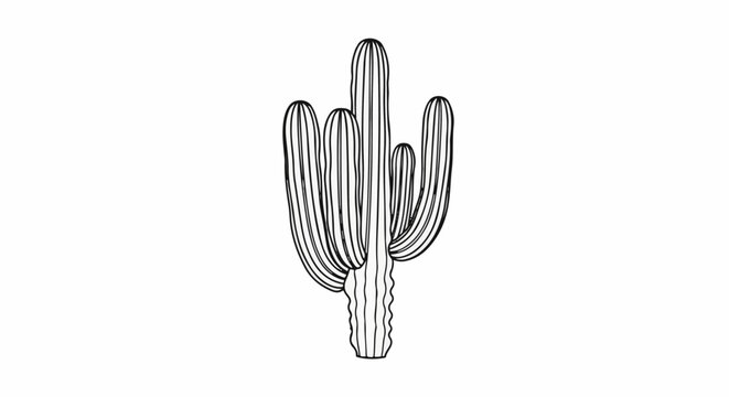 Stylized outline drawing of a tall, multi-armed cactus plant