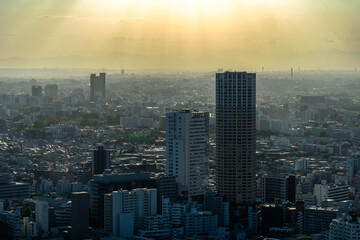 Fototapeta premium Hazy urban skyline under soft sunset light with atmospheric mood