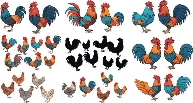 Rooster and chicken collection with silhouettes and colorful breeds farm poultry animals isolated vector illustration set