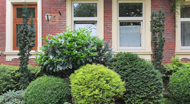 Garden with various green plants in front of a red-brick house in daylight
