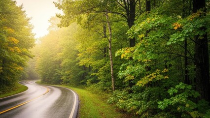 Obraz premium Winding road through lush green forest under bright sunlight for travel themes