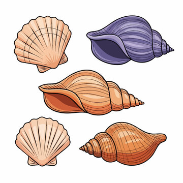 Beach Shell Collection Sticker Set